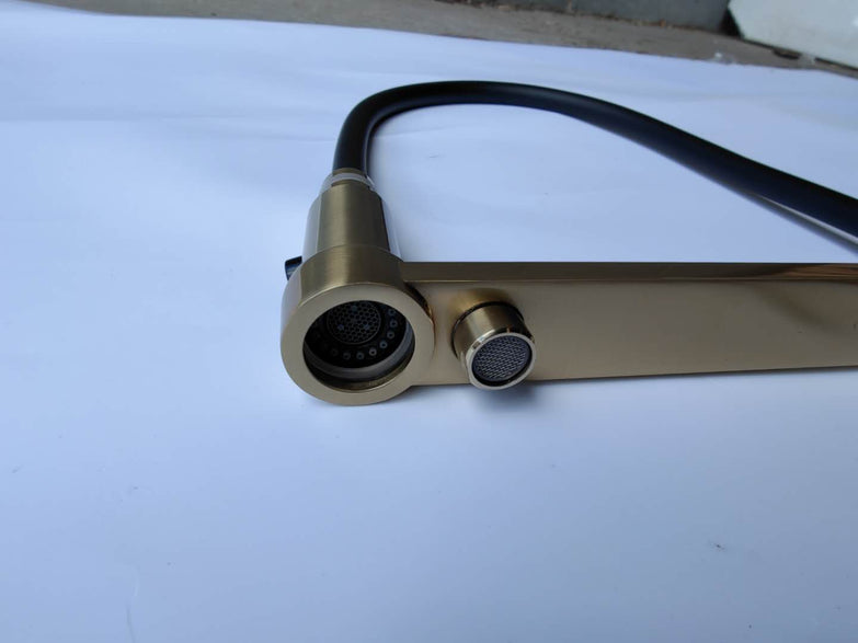 WELS Kitchen Mixer Black Chrome Gold Pull Out Spray 3 way filter Faucet Sink Tap