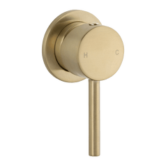 2023 New Brass Burnished Gold round hand held SHOWER HEAD hand held diverter