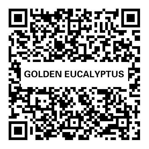Golden Eucalyptus engineered stone sample with QR code and product name.