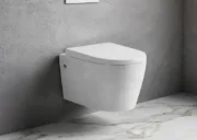 Wall Hung Toilet with Geberit Cistern