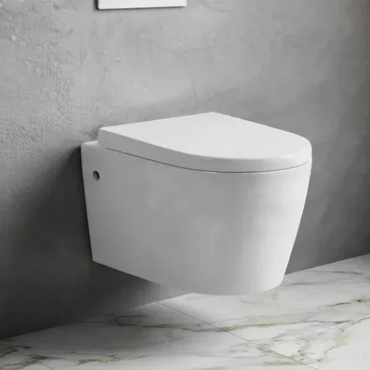 Wall Hung Toilet with Geberit Cistern