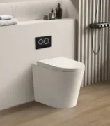 R&T In‑Wall Toilet