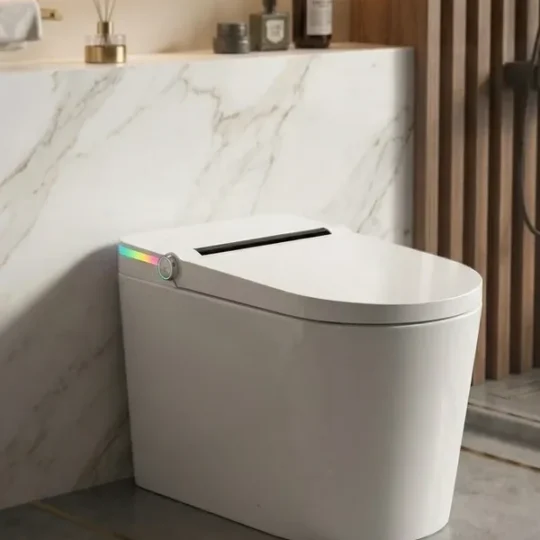 Intelligent Dynamic Smart AI Toilet
